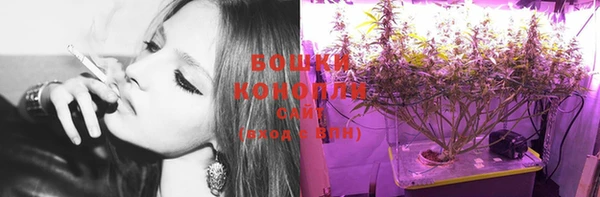 молекула духа Белокуриха