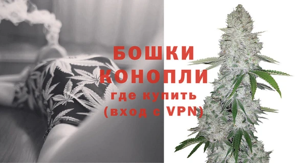 молекула духа Белокуриха