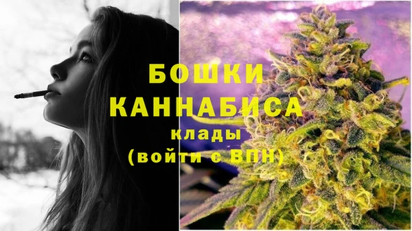 молекула духа Белокуриха