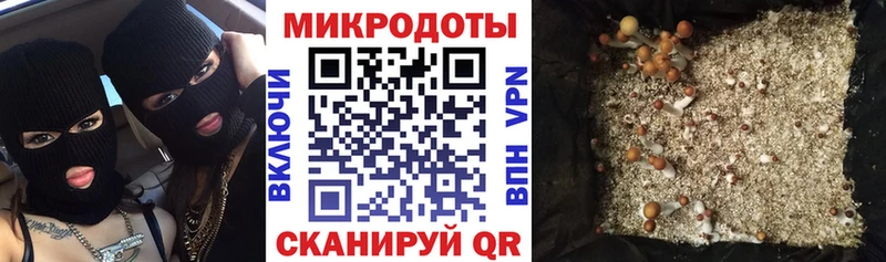 где купить наркоту  Ленск  Галлюциногенные грибы Psilocybe 